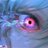 Zimaniz_Imperator